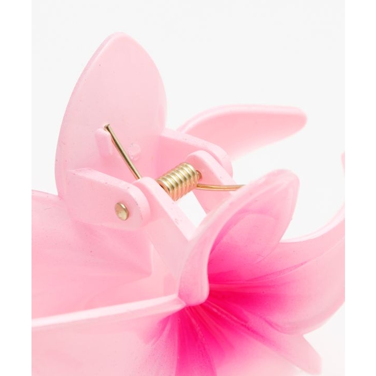 【カヒコ】プルメモエヘアクリップセット | アミナコレクション  | 詳細画像5 