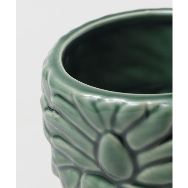 【カヒコ】ラキパイナマグ | アミナコレクション  | 詳細画像3 