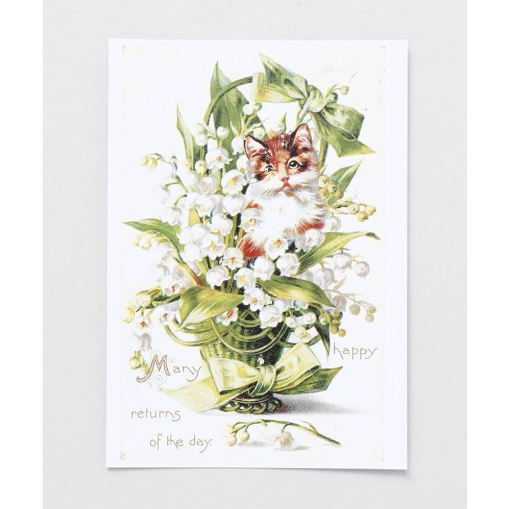 その他 | 【欧州航路】キティフラワーポストカード | アミナコレクション 