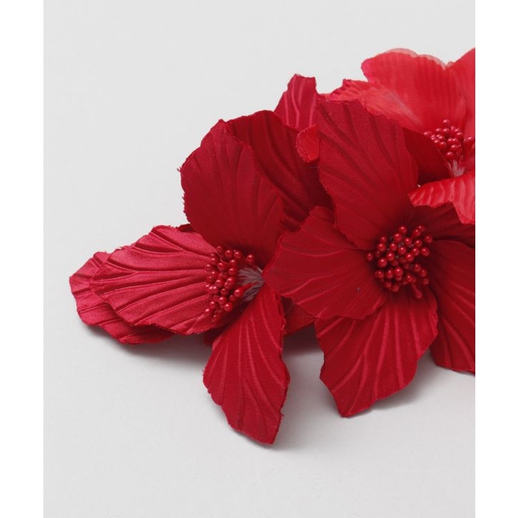 【マウナロア】スタイリングシェルカラーＣＬＰ | アミナコレクション  | 詳細画像4 