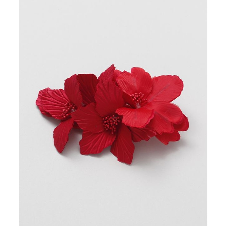 レッド | 【マウナロア】スタイリングシェルカラーＣＬＰ | アミナコレクション 