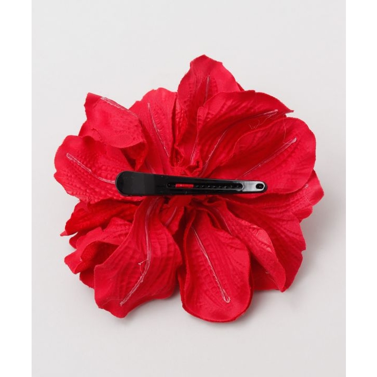 【マウナロア】ベルベットアマリリスＣＬＰ | アミナコレクション  | 詳細画像5 