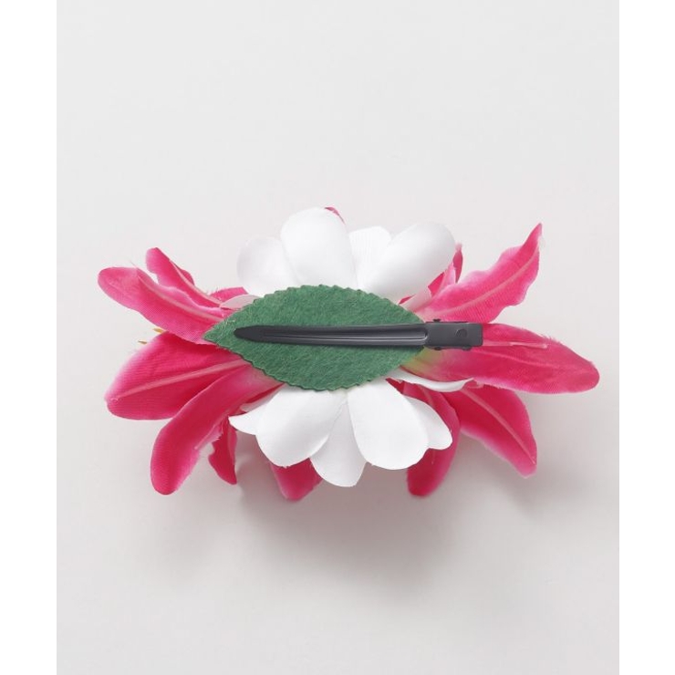 【マウナロア】リリークリップ | アミナコレクション  | 詳細画像4 