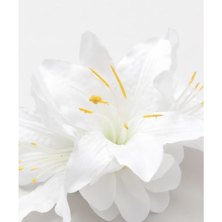 【マウナロア】リリークリップ | アミナコレクション  | 詳細画像8 