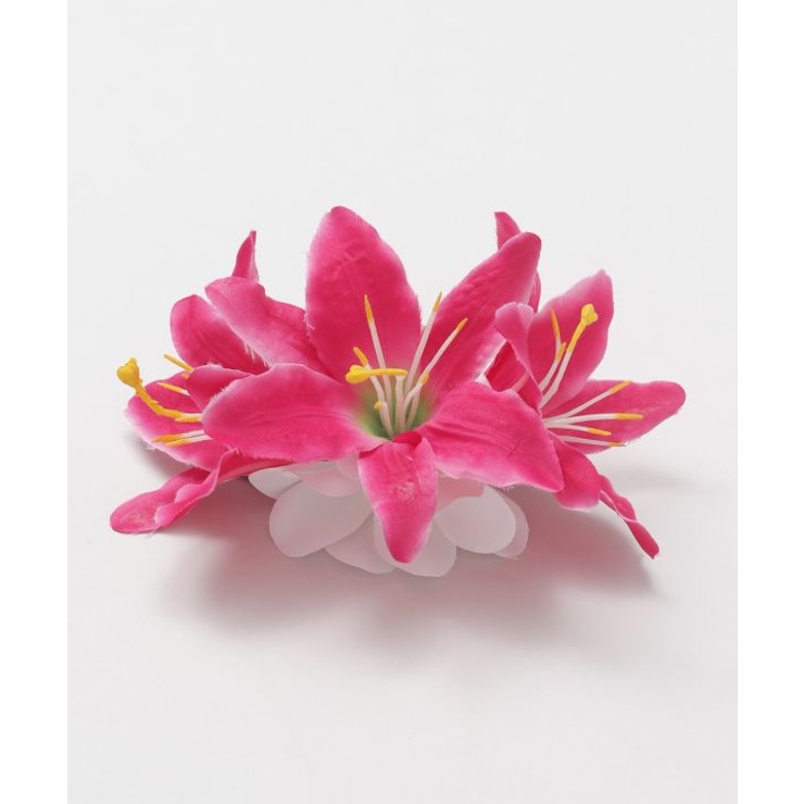 ピンク系その他 | 【マウナロア】リリークリップ | アミナコレクション 