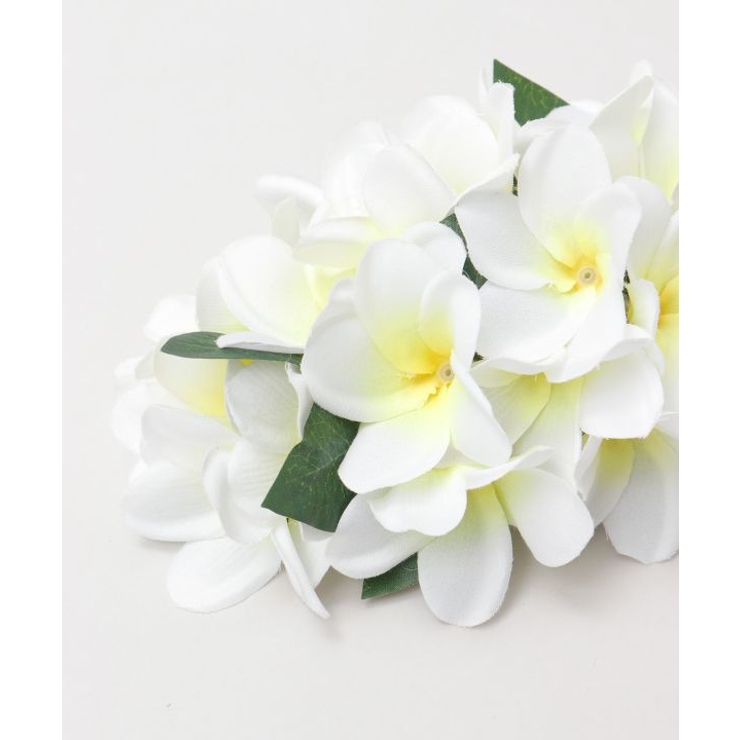 【マウナロア】プルメリアクリップ | アミナコレクション  | 詳細画像4 