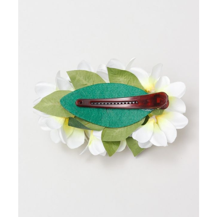 【マウナロア】プルメリアクリップ | アミナコレクション  | 詳細画像5 