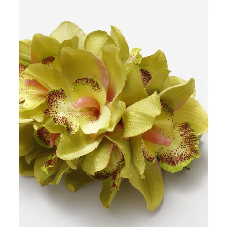 【マウナロア】ノーブルシンビジウムクリップ | アミナコレクション  | 詳細画像3 