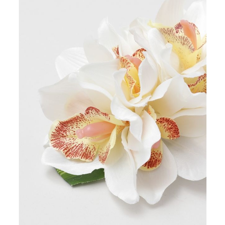 【マウナロア】ノーブルシンビジウムクリップ | アミナコレクション  | 詳細画像5 