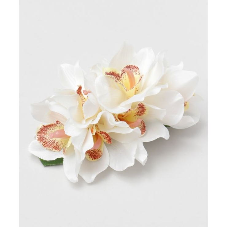 【マウナロア】ノーブルシンビジウムクリップ | アミナコレクション  | 詳細画像6 