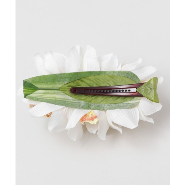 【マウナロア】ノーブルシンビジウムクリップ | アミナコレクション  | 詳細画像7 