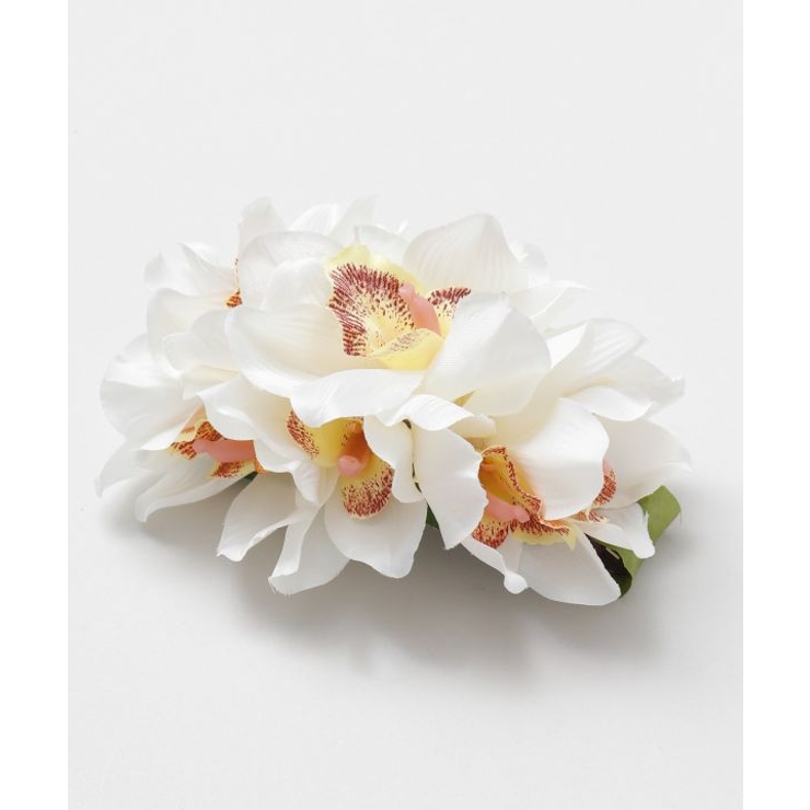 アイボリー | 【マウナロア】ノーブルシンビジウムクリップ | アミナコレクション 