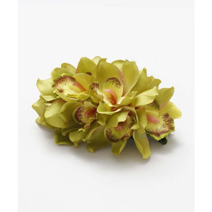 グリーン | 【マウナロア】ノーブルシンビジウムクリップ | アミナコレクション 