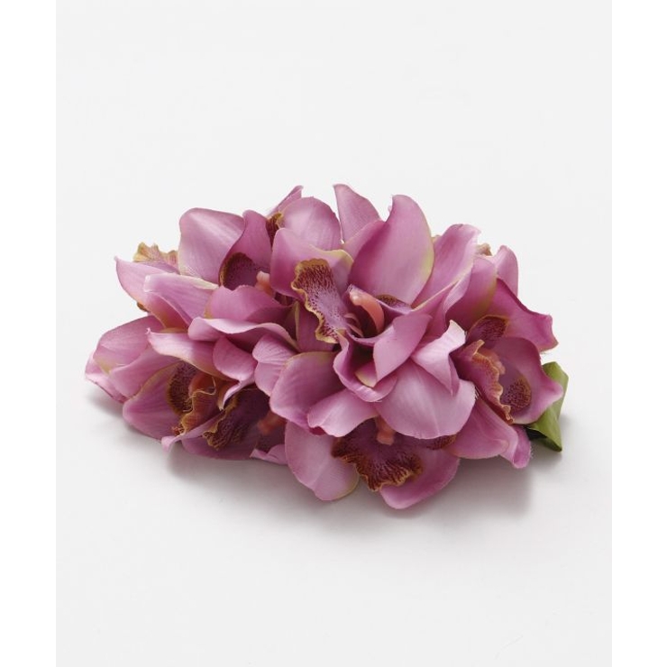 パープル | 【マウナロア】ノーブルシンビジウムクリップ | アミナコレクション 