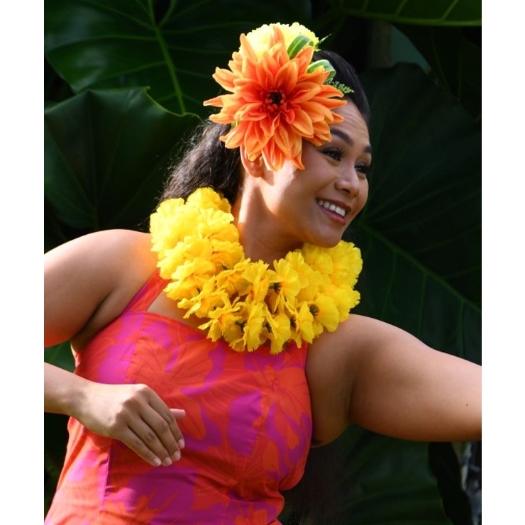 【マウナロア】プアカーネーションレイ | アミナコレクション  | 詳細画像3 