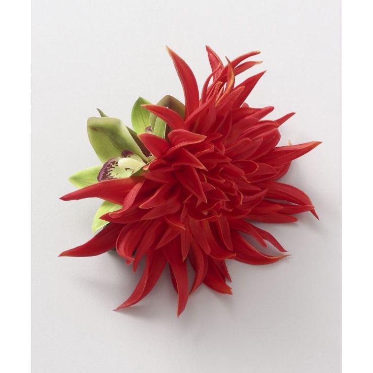 【Maunaloa】スパイダーマムクリップ | アミナコレクション  | 詳細画像1 