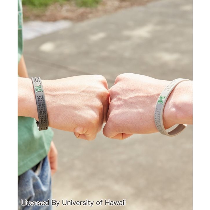 University of Hawaii | アミナコレクション | 詳細画像1 