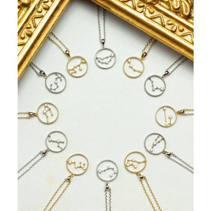 欧州航路】Zodiac signs 12星座ネックレス☆シルバーカラー[品番