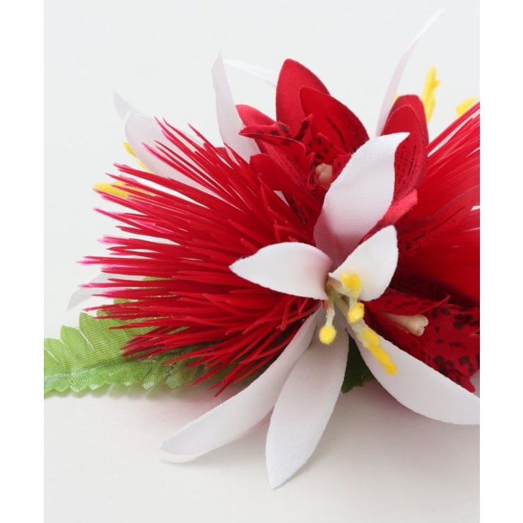 【Maunaloa】ミニレフアシンビジウムクリップ | アミナコレクション  | 詳細画像2 