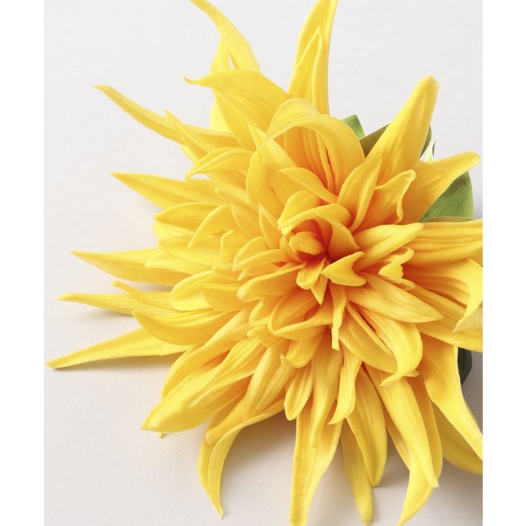 【Maunaloa】スパイダーマムクリップ | アミナコレクション  | 詳細画像2 