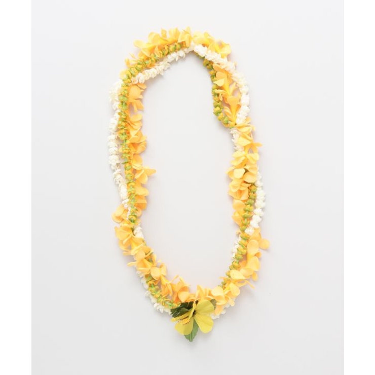 【Maunaloa】ナニプアケニケニコンボレイ | アミナコレクション  | 詳細画像3 