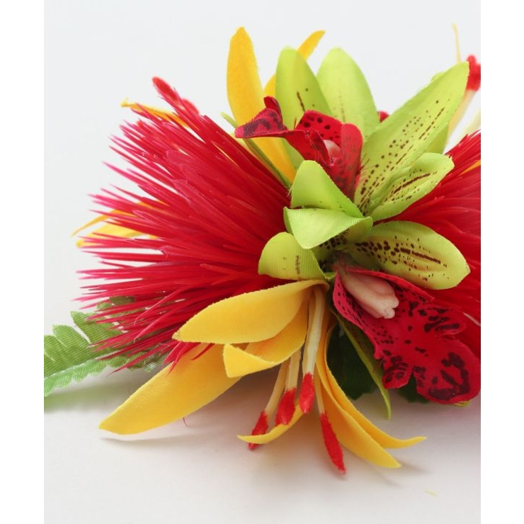 【Maunaloa】ミニレフアシンビジウムクリップ | アミナコレクション  | 詳細画像3 