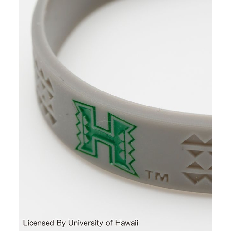 University of Hawaii | アミナコレクション | 詳細画像4 