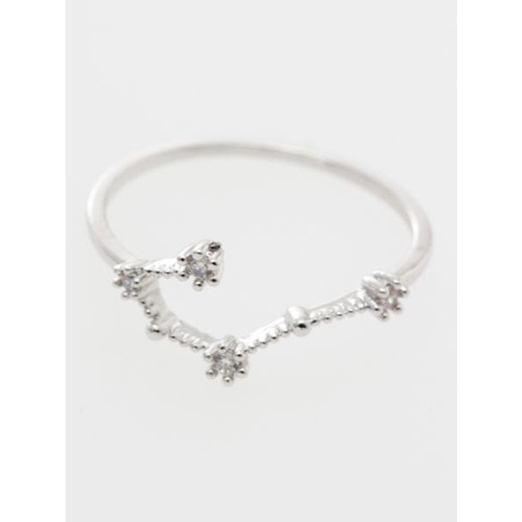 【欧州航路】Zodiac signs 12星座リング★シルバーカラー | アミナコレクション  | 詳細画像4 