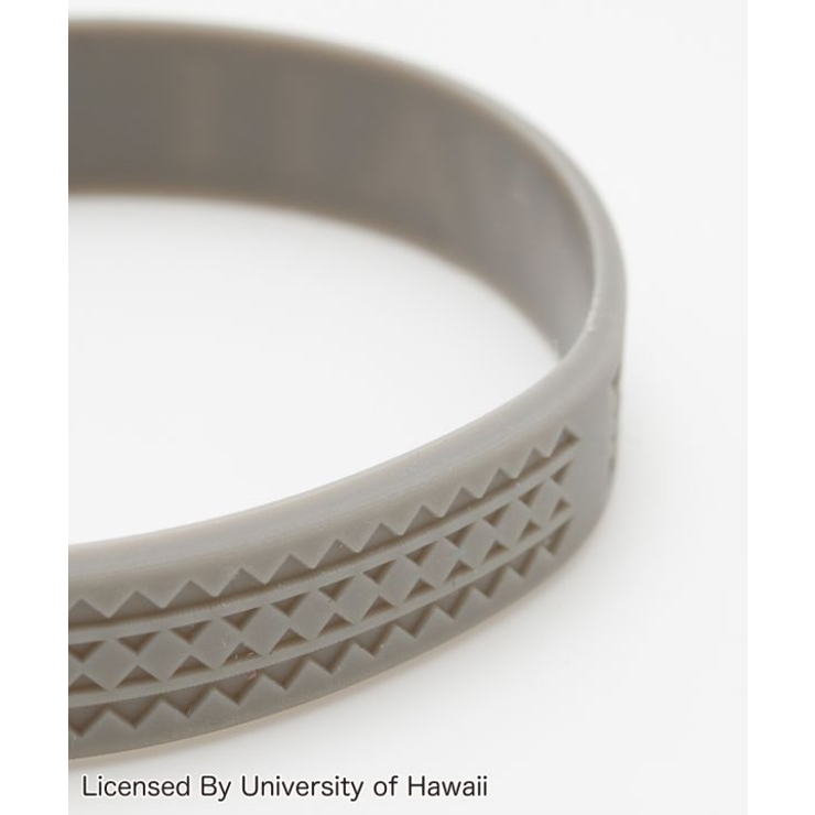 University of Hawaii | アミナコレクション | 詳細画像5 