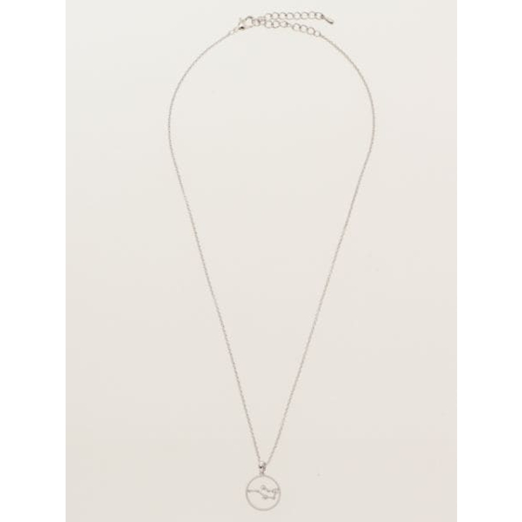 欧州航路】Zodiac signs 12星座ネックレス☆シルバーカラー[品番