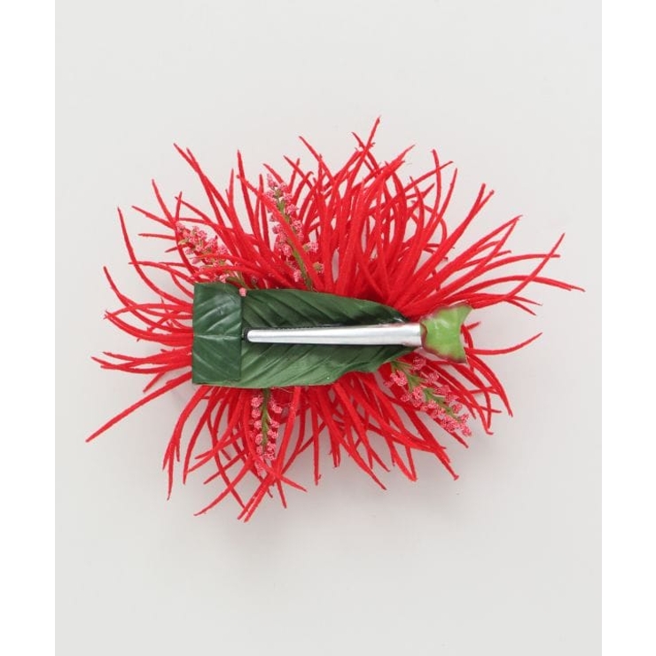 【Maunaloa】ソードリーフクリップ | アミナコレクション  | 詳細画像7 