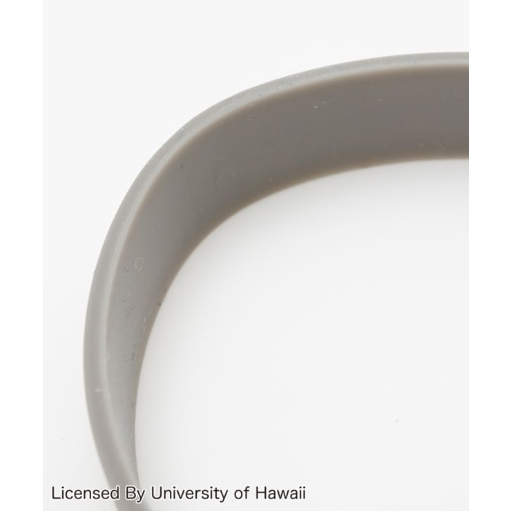 University of Hawaii | アミナコレクション | 詳細画像6 