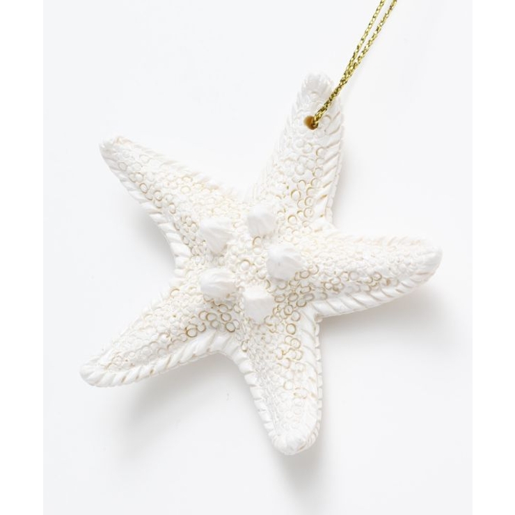 【Kahiko】AlohaスターフィッシュオーナメントM | アミナコレクション  | 詳細画像6 