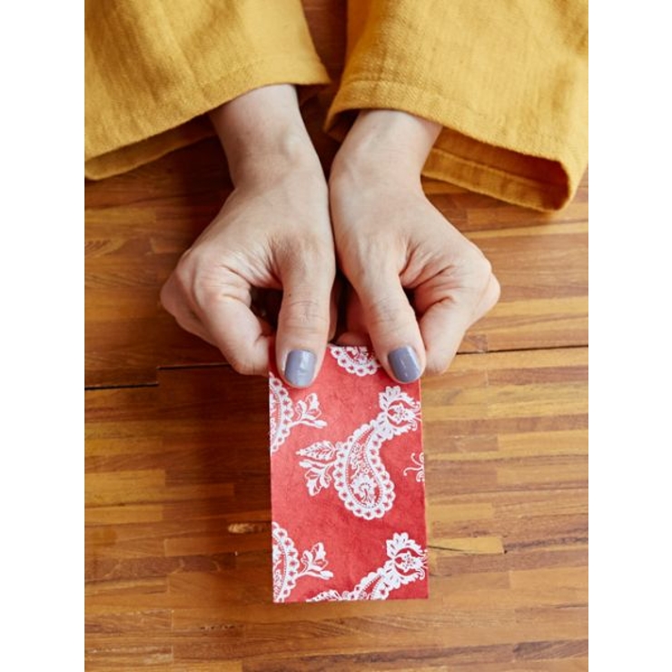 その他9 | 【チャイハネ】ネパール手漉き紙 ホーリーぽち袋 | アミナコレクション 