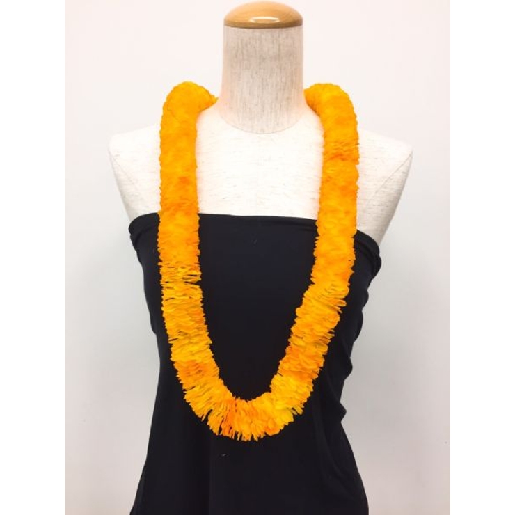 オレンジ | 【Maunaloa】イリマショートレイ | アミナコレクション 