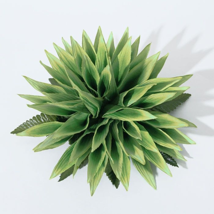 グリーン | 【Maunaloa】ヘリコニアヌイクリップ | アミナコレクション 