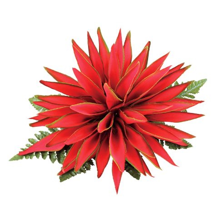 レッド | 【Maunaloa】ヘリコニアヌイクリップ | アミナコレクション 