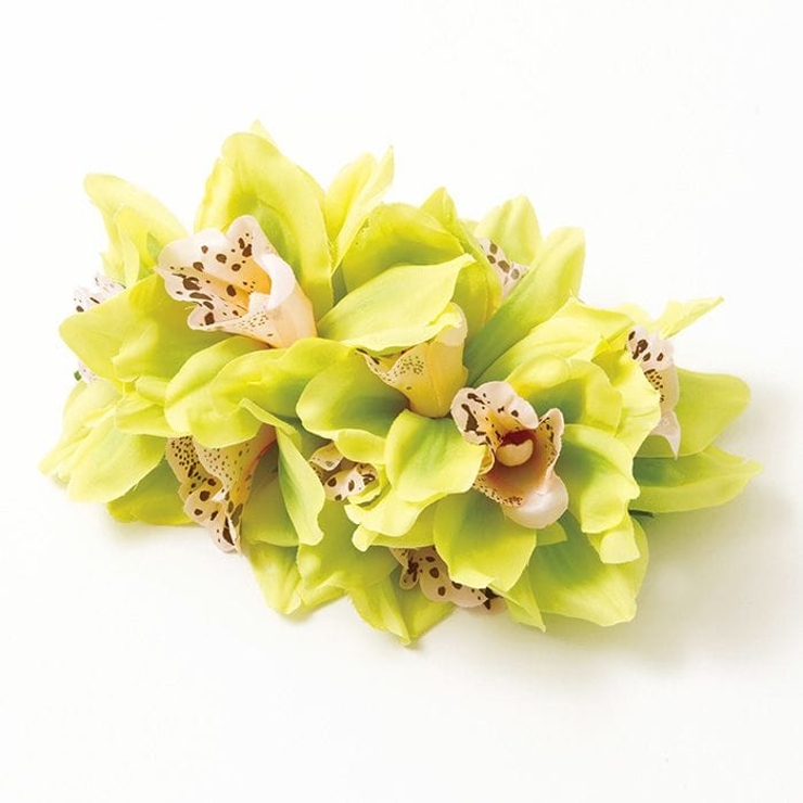 ライム | 【Maunaloa】デライトシンビジウムクリップ | アミナコレクション 