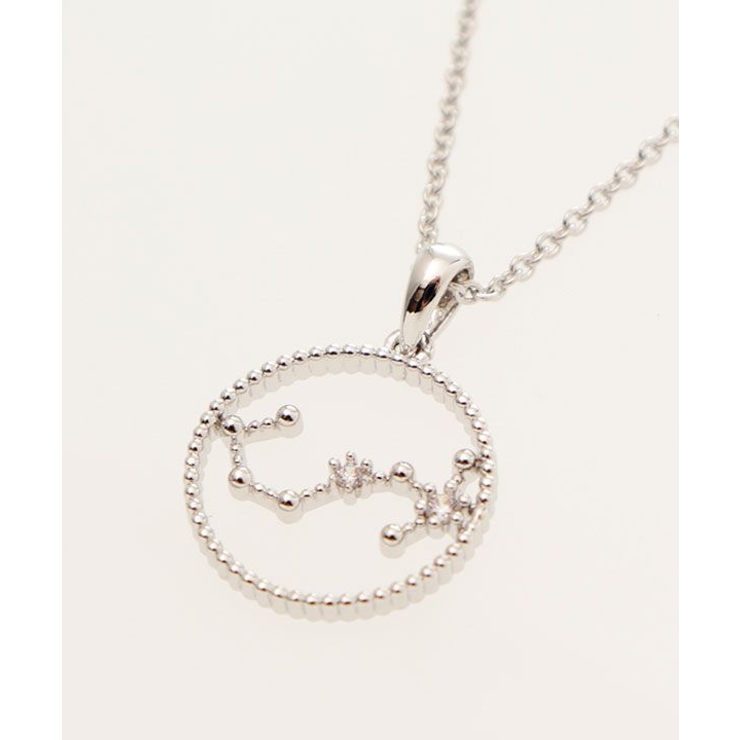 欧州航路】Zodiac signs 12星座ネックレス☆シルバーカラー[品番