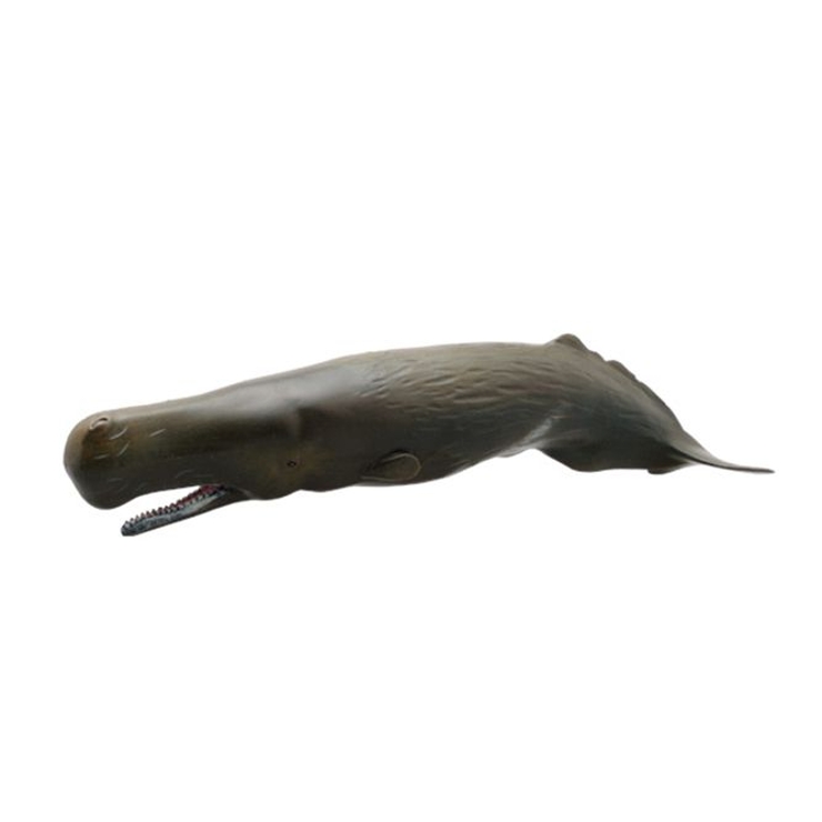 マッコウクジラ ソフトモデルフィギュア 海洋生物[品番