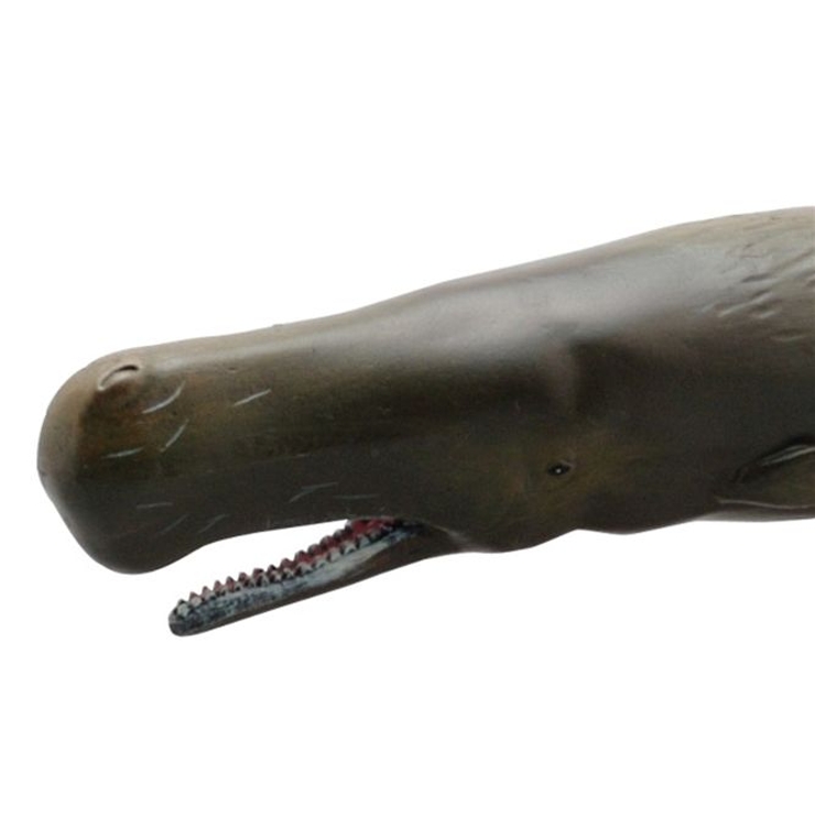 マッコウクジラ ソフトモデルフィギュア 海洋生物[品番