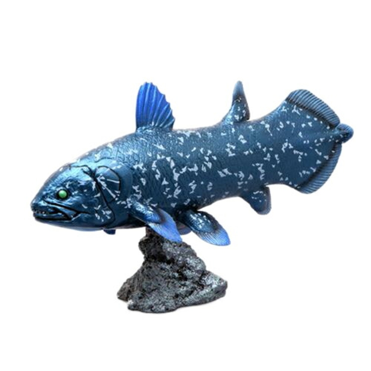 ハンドメイド 61cmシーラカンス フィギュア レプリカ 模型