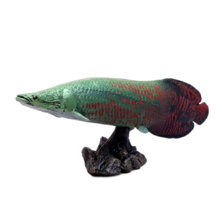古代魚 フィギュア ソフトモデルフィギュア[品番：BREW0015268