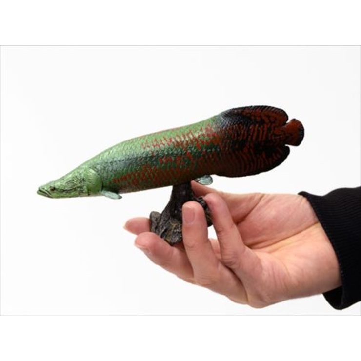 古代魚 フィギュア ソフトモデルフィギュア[品番:BREW0015268 古代魚 フィギュア ソフトモデルフィギュア[品番:BREW0015268