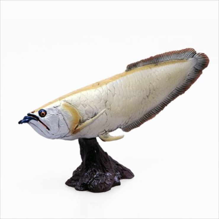 古代魚 フィギュア ソフトモデルフィギュア 品番 Brew Cinemacollection シネマコレクション のファッション通販 毎日送料無料 Shoplist ショップリスト