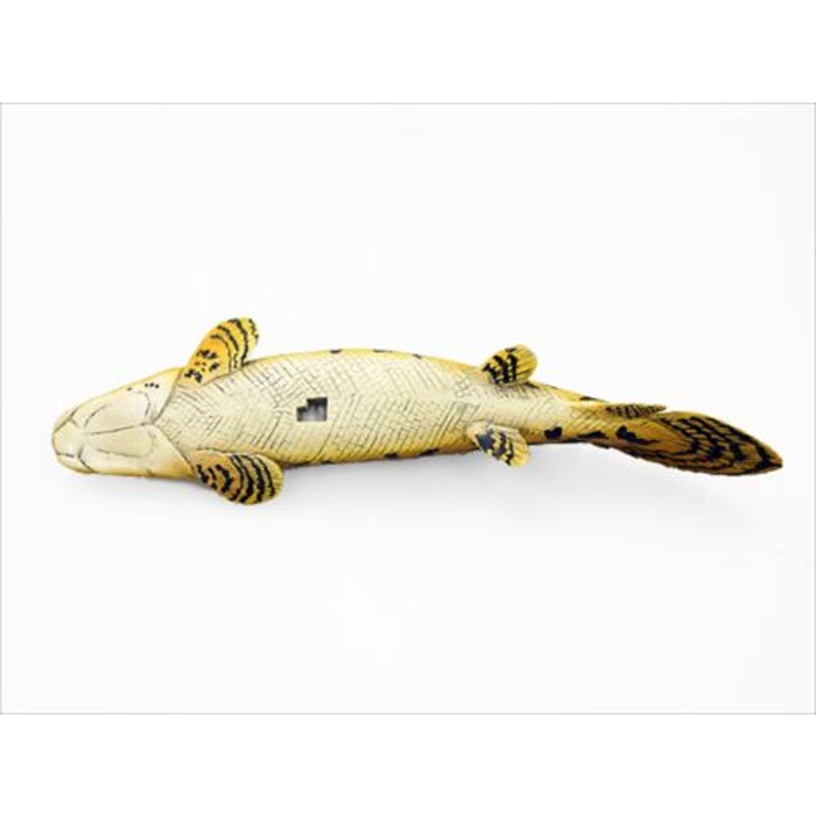古代魚 フィギュア ソフトモデルフィギュア | cinemacollection | 詳細画像4 