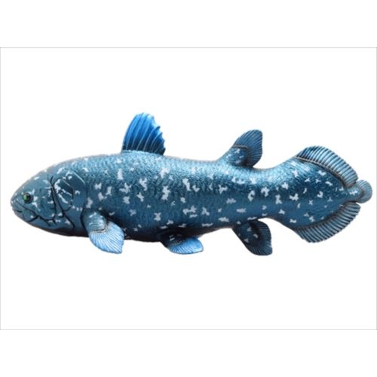 古代フギア Amazon.co.jp: Pipigirl JoyToy 本物のライセンス 1/18 可動