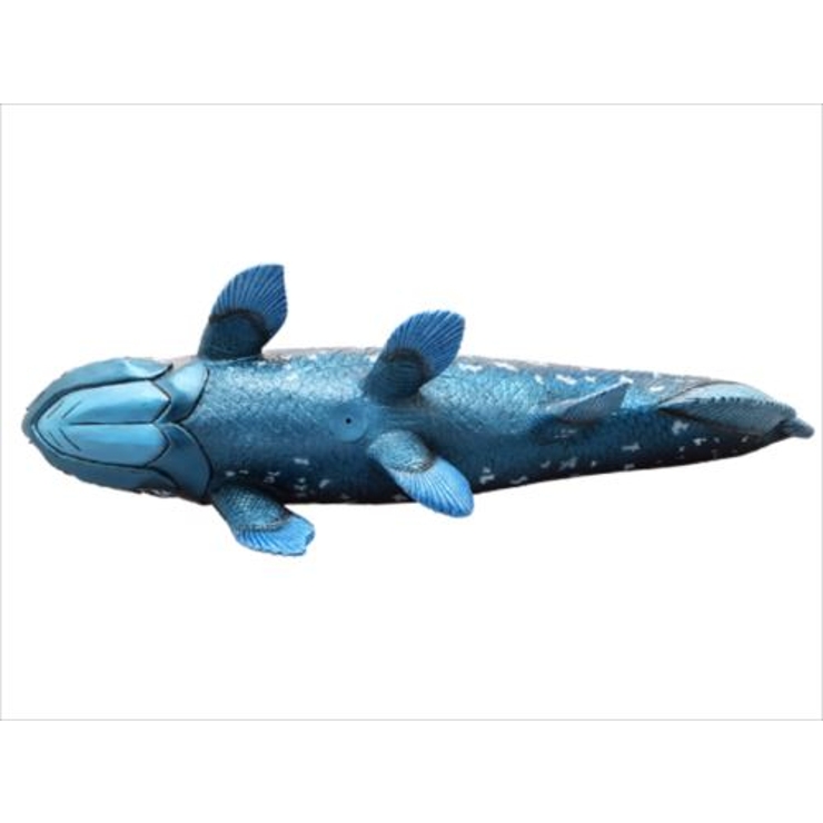古代魚 フィギュア ビッグサイズフィギュア [品番：BREW0015273]｜cinemacollection（シネマコレクション）のファッション通販｜SHOPLIST（ショップリスト）