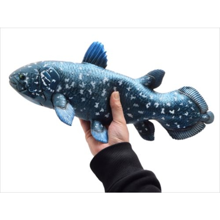 古代魚 フィギュア ビッグサイズフィギュア [品番：BREW0015273]｜cinemacollection（シネマコレクション）のファッション通販｜SHOPLIST（ショップリスト）