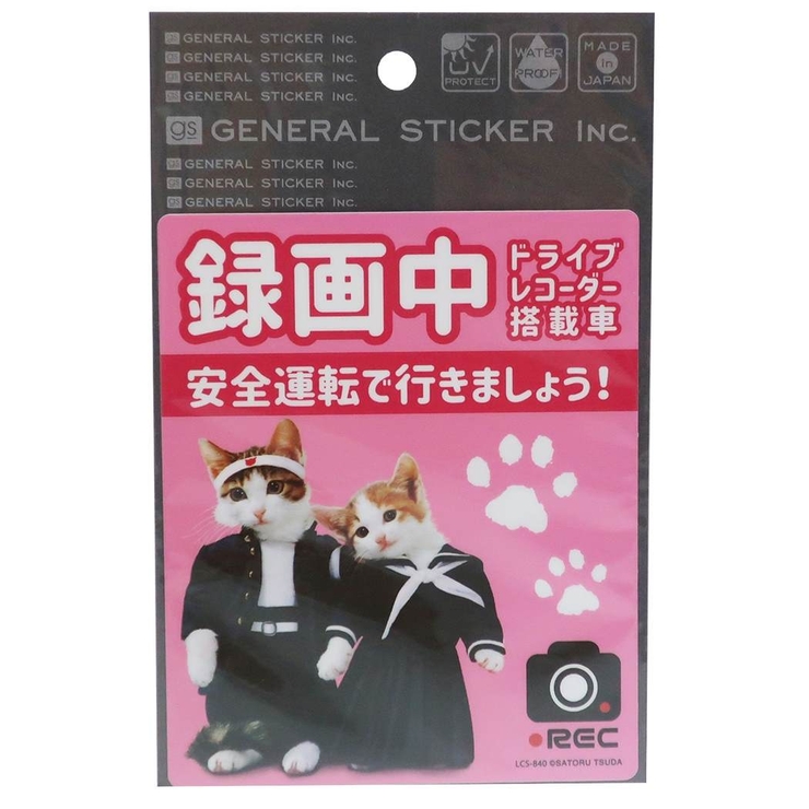 ドライブレコーダー ステッカー なめんなよ | cinemacollection | 詳細画像1